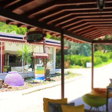 Pigale Family Club 3*