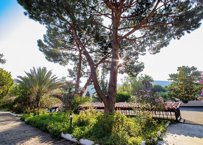 Pigale Family Club Resort 3*